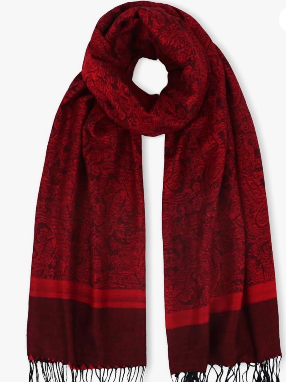Pashmina and Silk Scarf/Wrap
